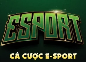 Hướng Dẫn Cách Chơi Thể Thao Điện Tử 1xBit Thắng Đậm Mọi Kèo